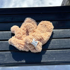 Cozy Teddy Fleece Mittens