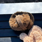 SleekerLife Plush Earmuffs