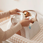 Rainbow Woven Diaper Caddy